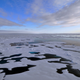 Image for article titled 'Historic' Agreement Bans Commercial Fishing Across a Vast Swath of the Arctic